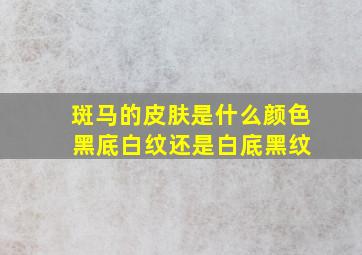 斑马的皮肤是什么颜色 黑底白纹还是白底黑纹